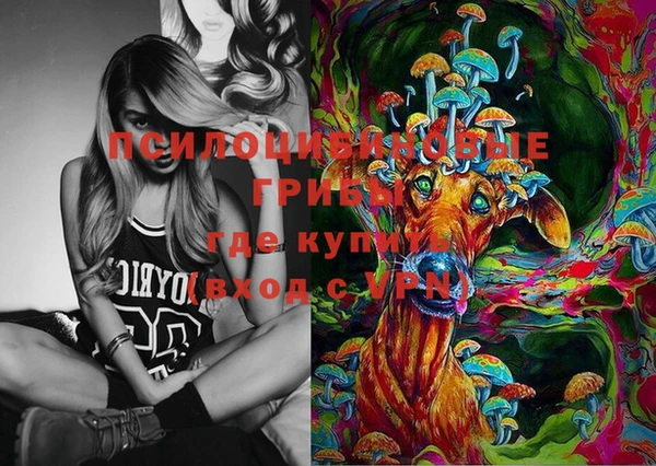 крисы Алексеевка