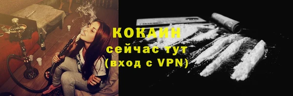 ешки Протвино