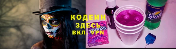 прущий лед Алзамай