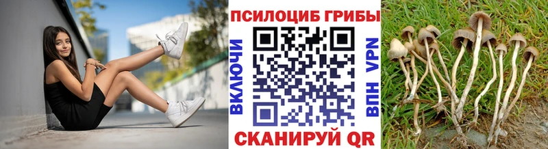 Галлюциногенные грибы Psilocybe Белорецк